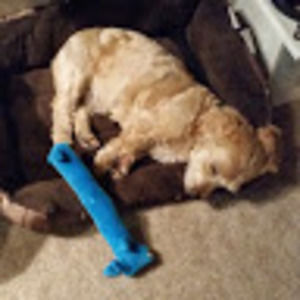 Meet your Posher, Gina